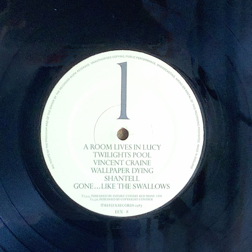 AND ALSO THE TREES/THE EVENING OF THE 24TH
