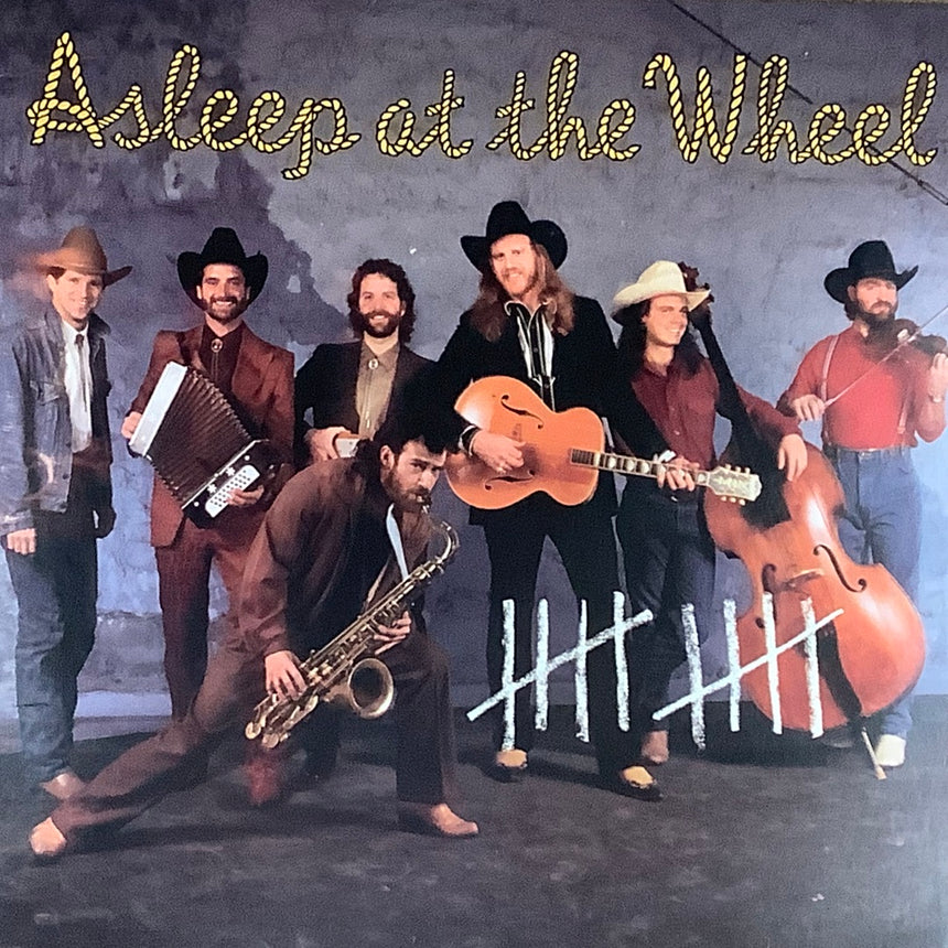 ASLEEP AT THE  WHEEL/ASLEEP  AT  THE    WHEEL