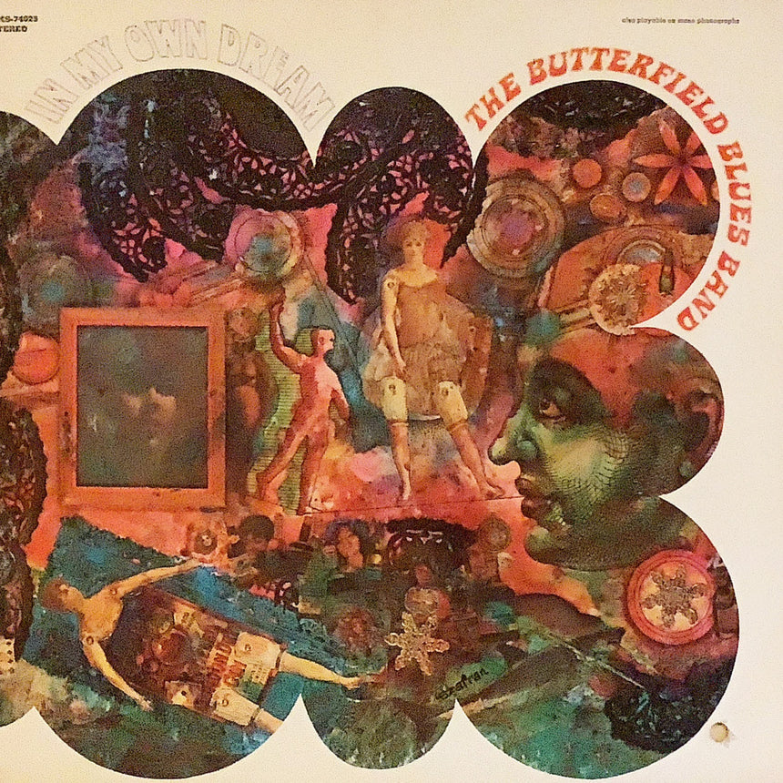 THE BUTTERFIELD BLUES BAND／ザバターフィールドブルースバンド【IN MY OWN DREAM】